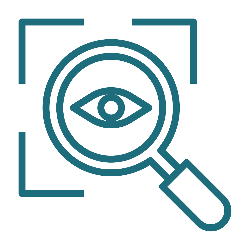iPek icon__Visual inspection
